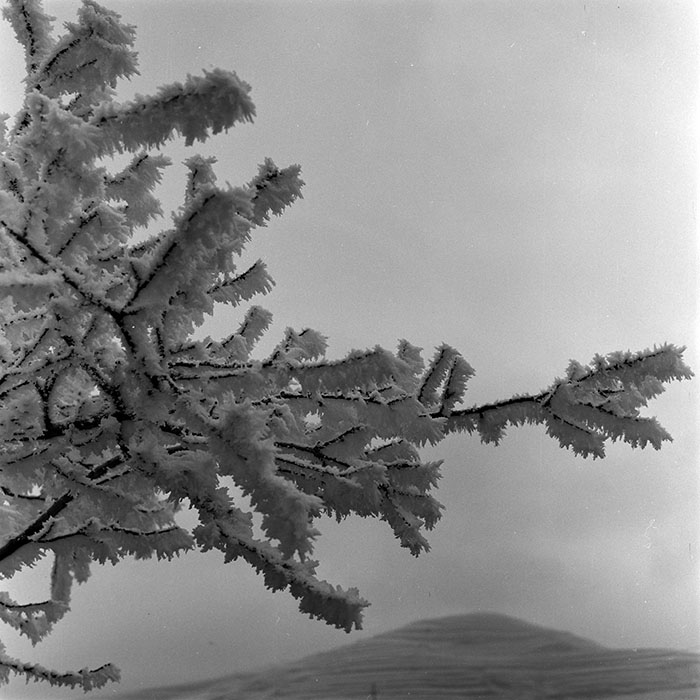 minerva_1973_c1_c1r5_021