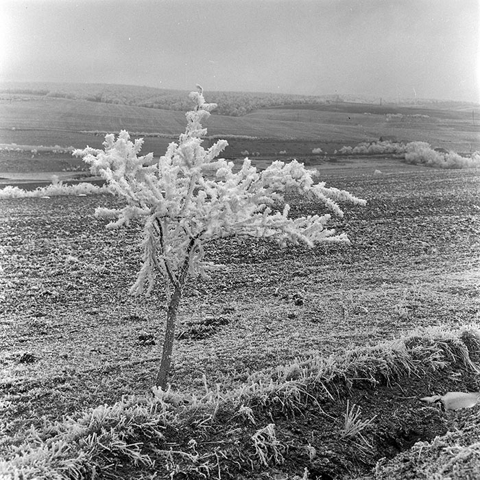 minerva_1973_c1_c1r5_022