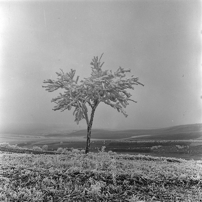 minerva_1973_c1_c1r5_023