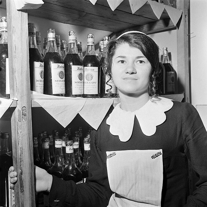 minerva_1973_c1_c2r3_031