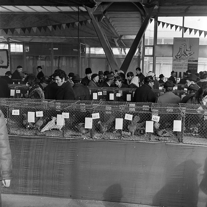 minerva_1973_c1_c2r4_001