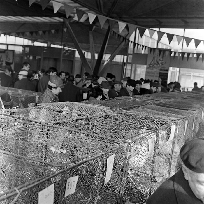 minerva_1973_c1_c2r4_002