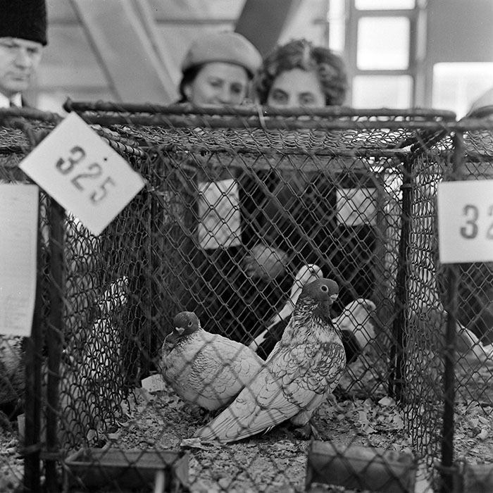 minerva_1973_c1_c2r4_003