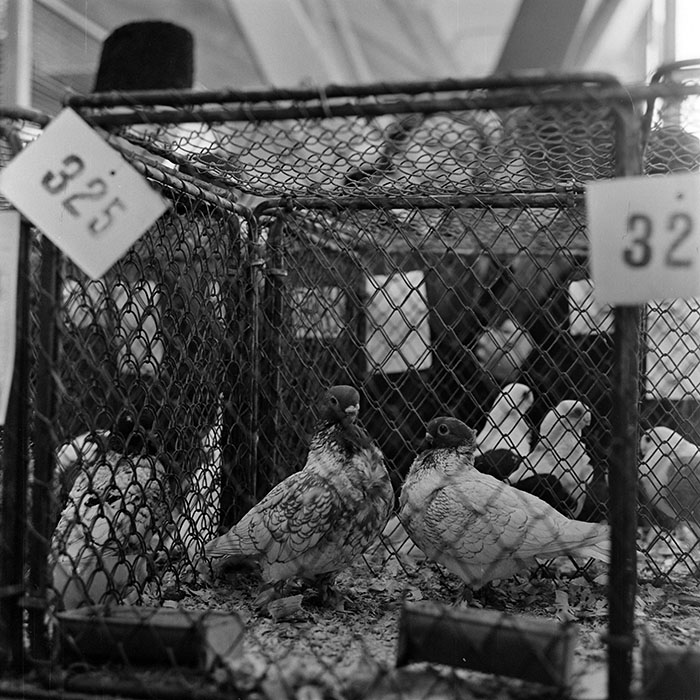 minerva_1973_c1_c2r4_004