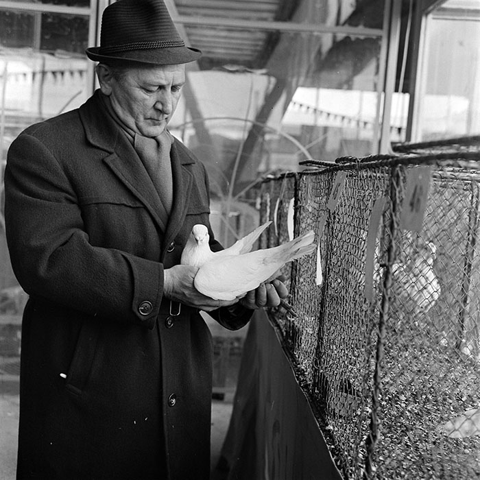 minerva_1973_c1_c2r4_010