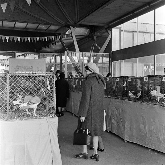 minerva_1973_c1_c2r4_015