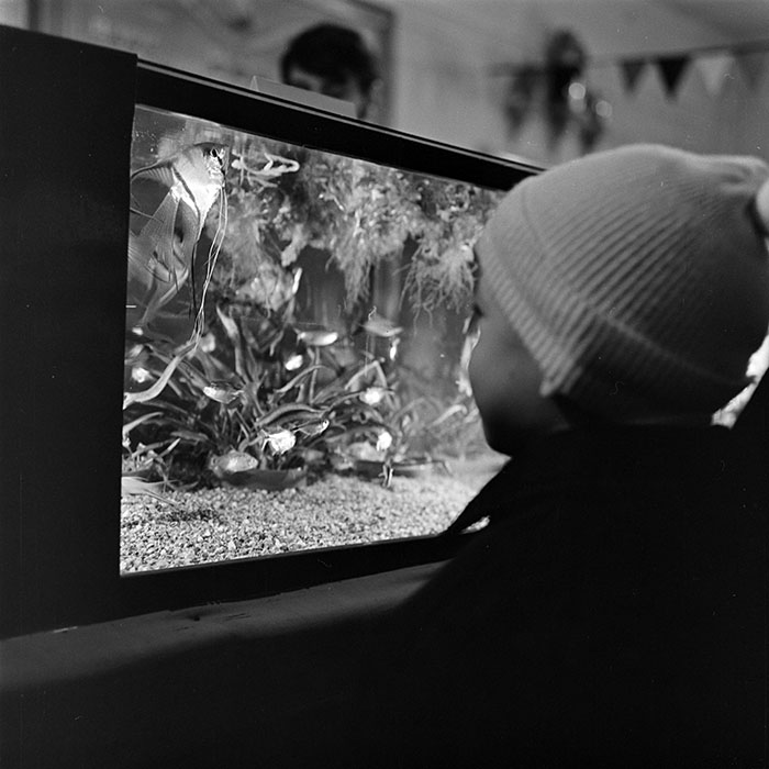 minerva_1973_c1_c2r4_021