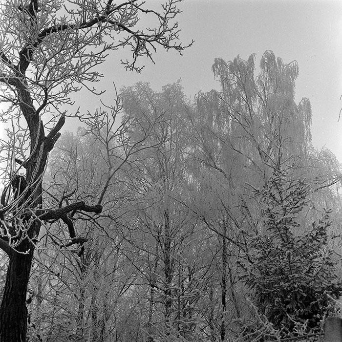 minerva_1973_c1_c3r3_010