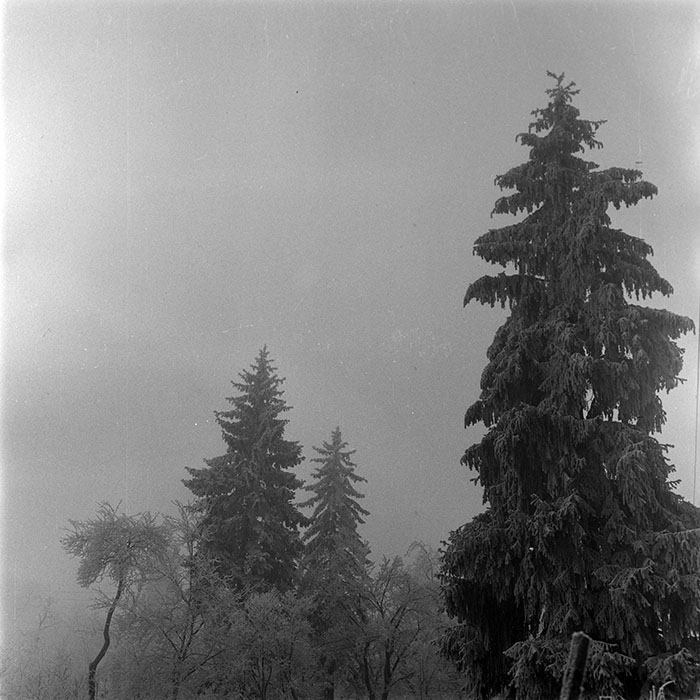 minerva_1973_c1_c3r3_011