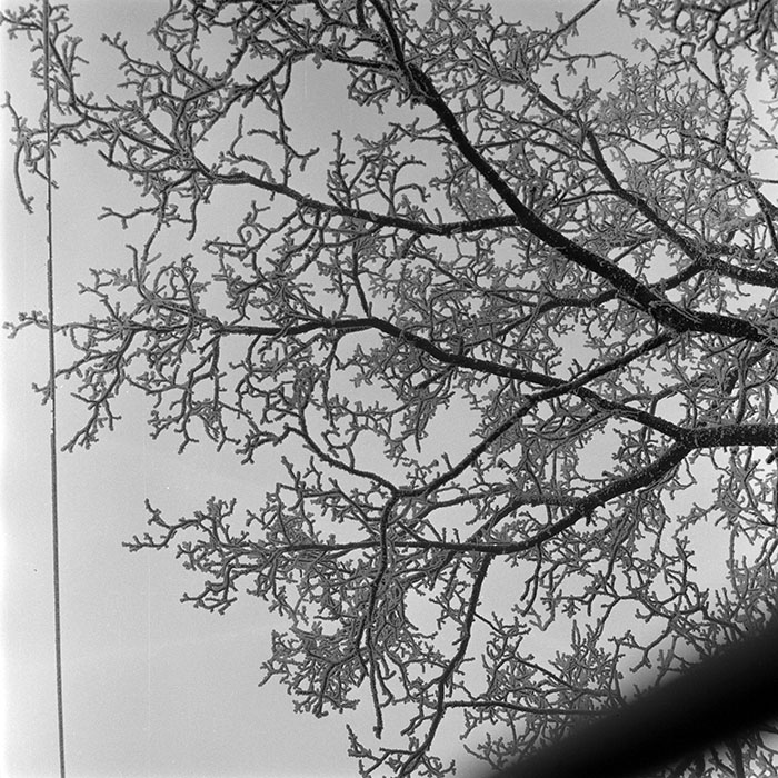 minerva_1973_c1_c3r3_012