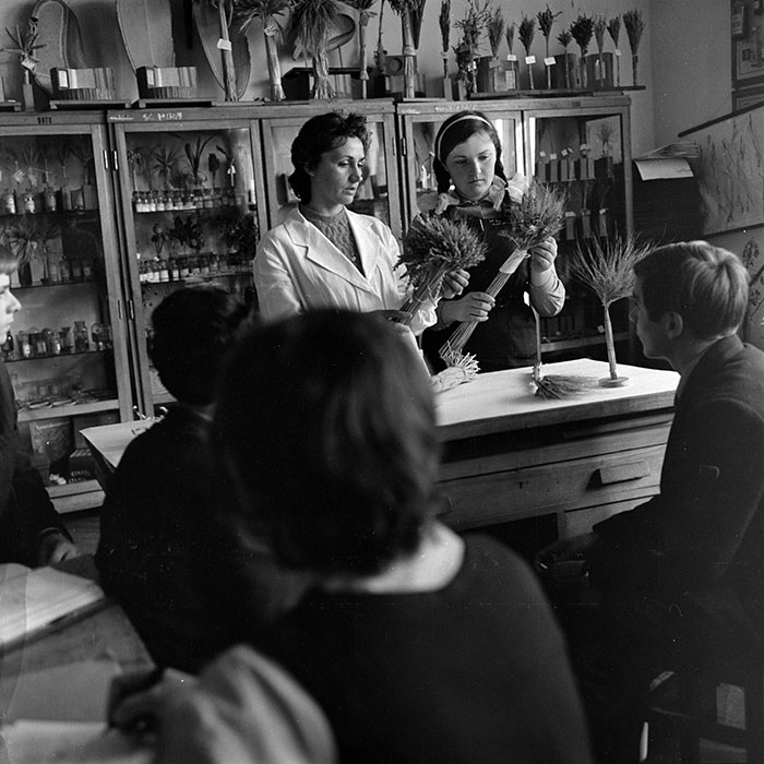 minerva_1973_c1_c3r4_001