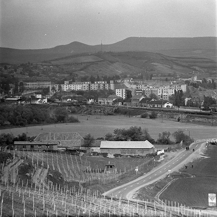 minerva_1973_c1_c4r5_029