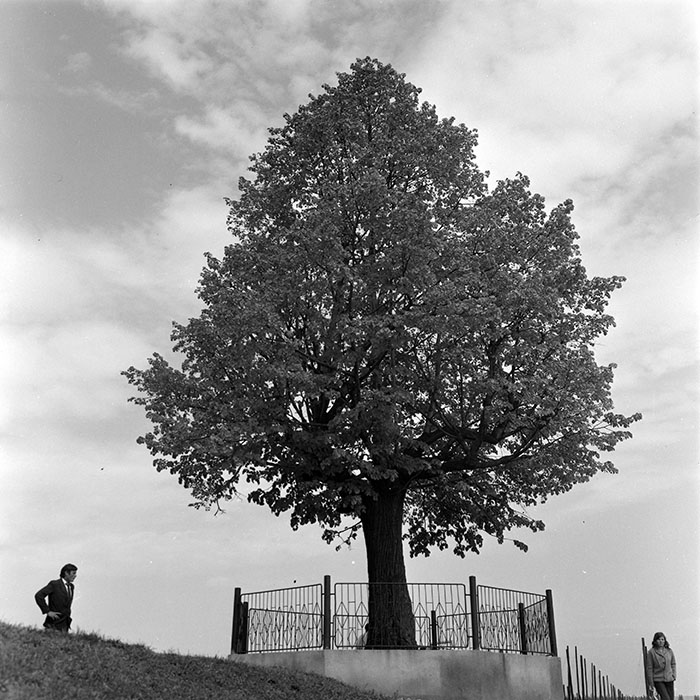 minerva_1973_c1_c4r5_042