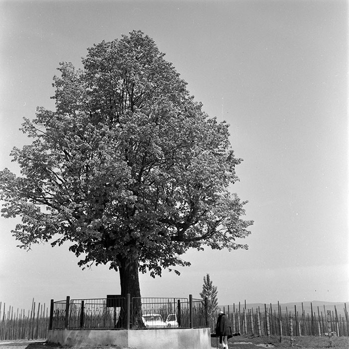 minerva_1973_c1_c4r5_046