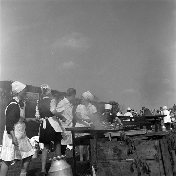 minerva_1973_c1_c5r3_015