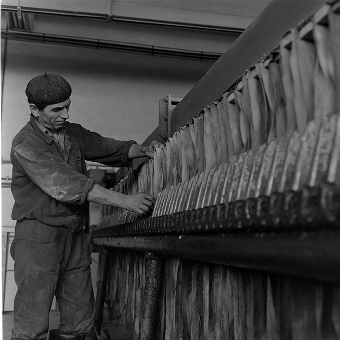 minerva_1973_c1_c5r4_017