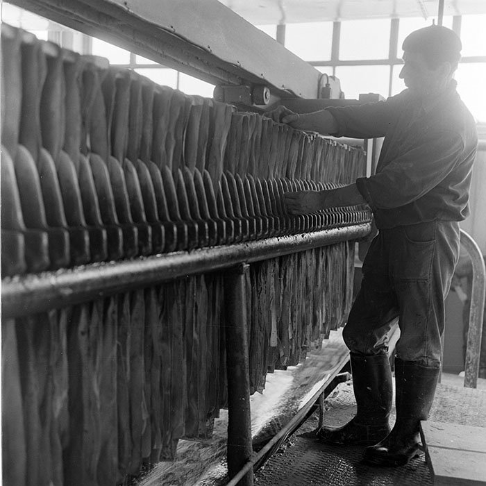 minerva_1973_c1_c5r4_018