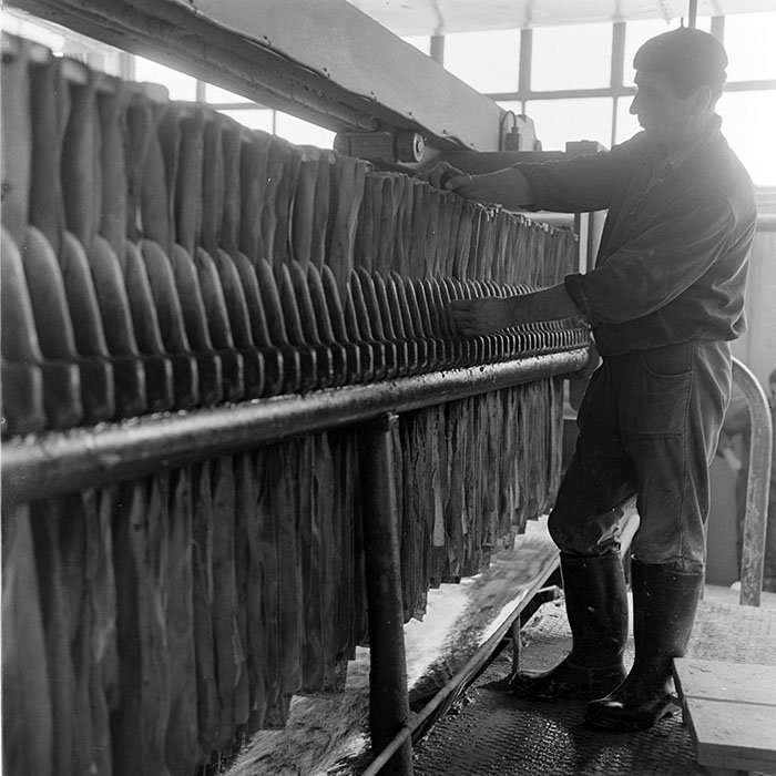 minerva_1973_c1_c5r4_019