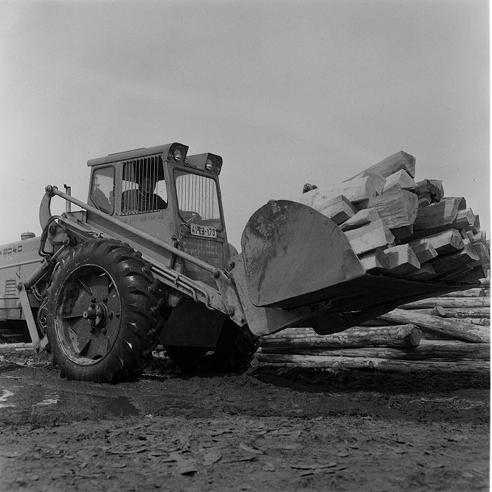 minerva_1973_c1_c6r1_003