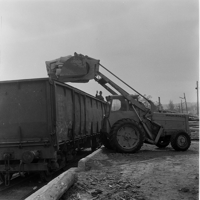 minerva_1973_c1_c6r1_007