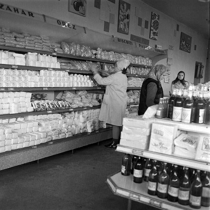 minerva_1973_c1_c6r1_013