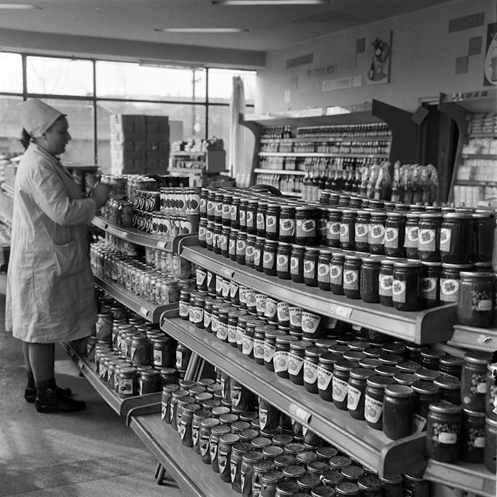 minerva_1973_c1_c6r1_014