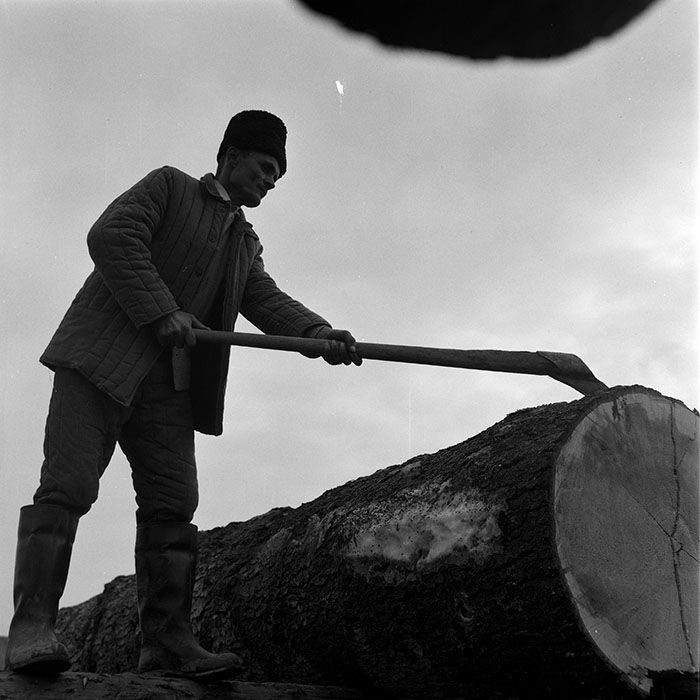 minerva_1973_c1_c6r1_025