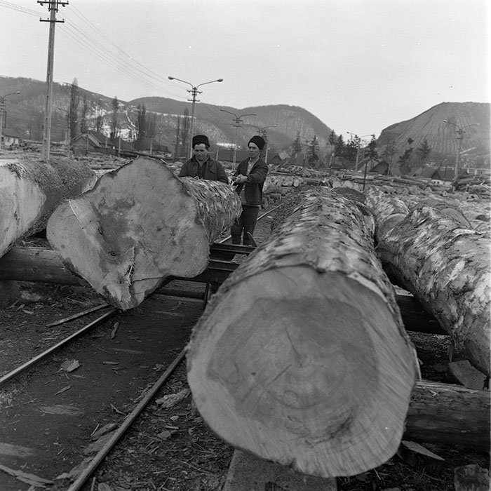 minerva_1973_c1_c6r1_027