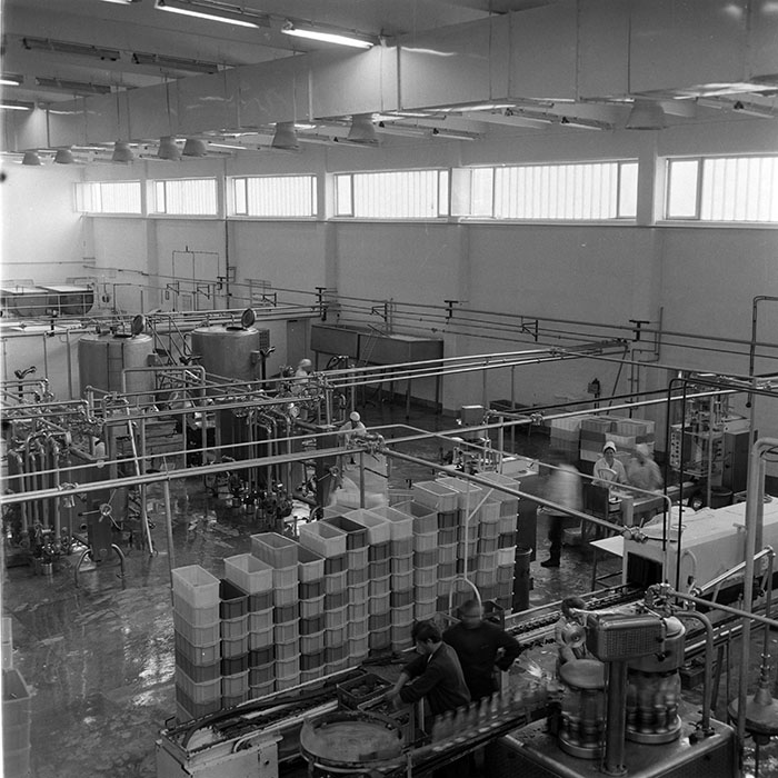 minerva_1973_c1_c6r2_001