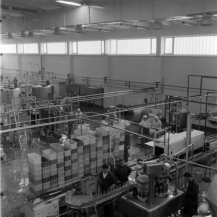 minerva_1973_c1_c6r2_002