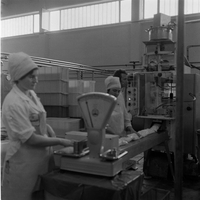 minerva_1973_c1_c6r2_003