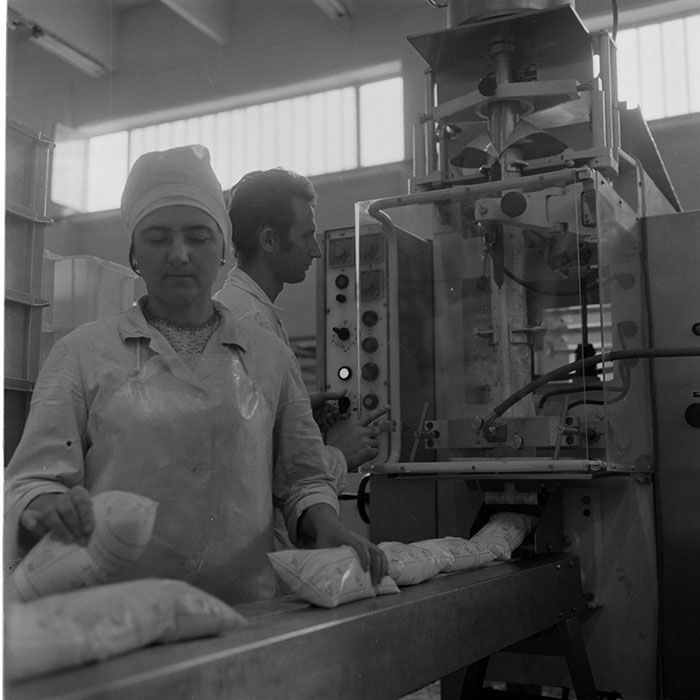 minerva_1973_c1_c6r2_004