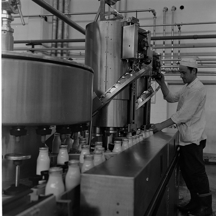 minerva_1973_c1_c6r2_006