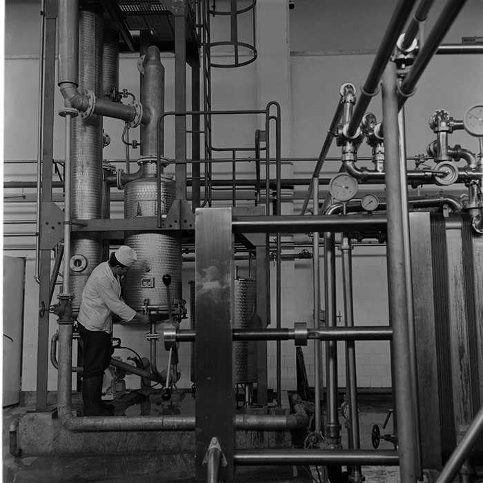 minerva_1973_c1_c6r2_010