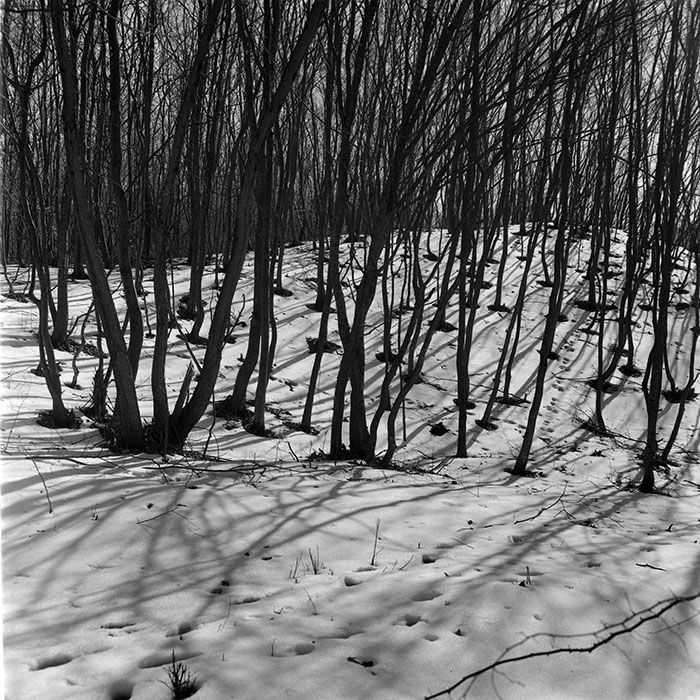 minerva_1973_c1_c6r5_001