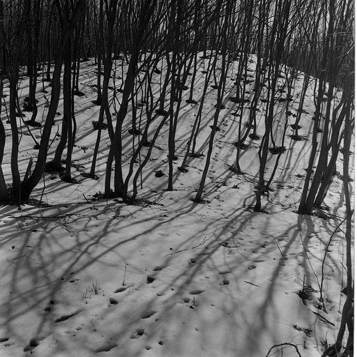 minerva_1973_c1_c6r5_002