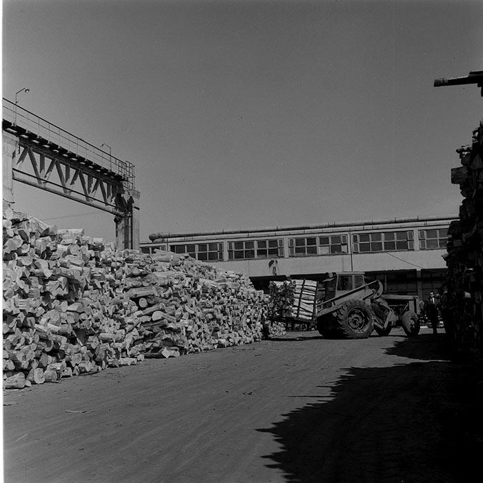 minerva_1973_c1_c6r5_005