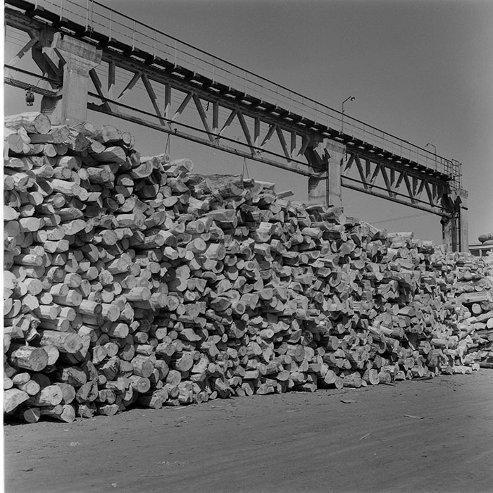 minerva_1973_c1_c6r5_006