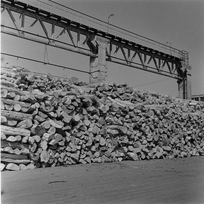 minerva_1973_c1_c6r5_008