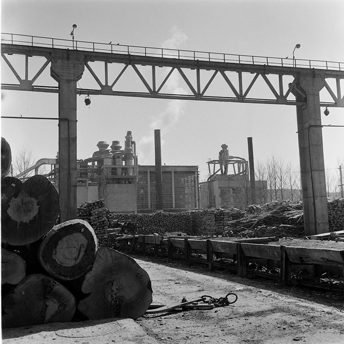 minerva_1973_c1_c6r5_009