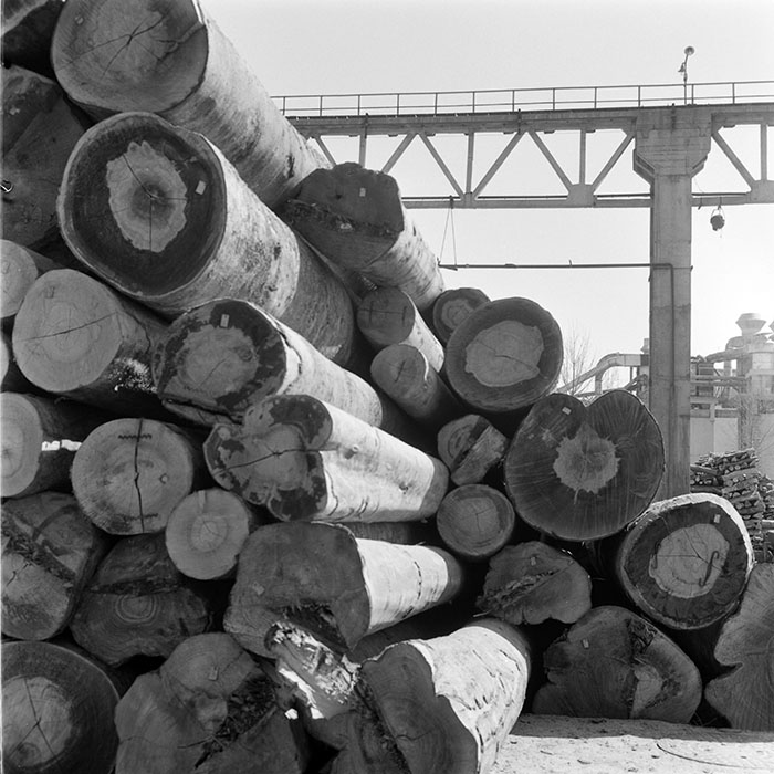 minerva_1973_c1_c6r5_010