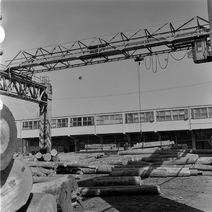 minerva_1973_c1_c6r5_011