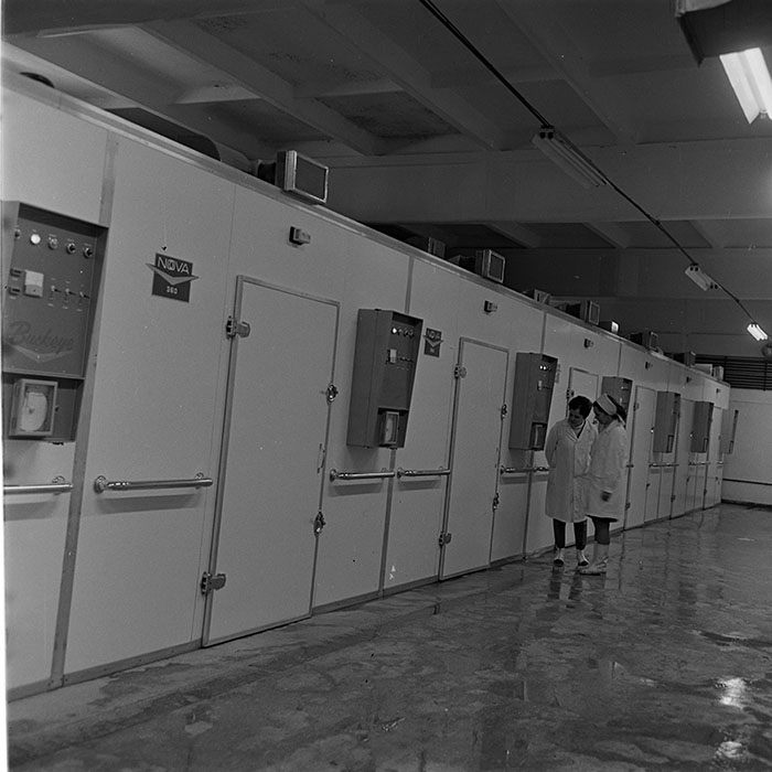 minerva_1973_c1_c6r5_013