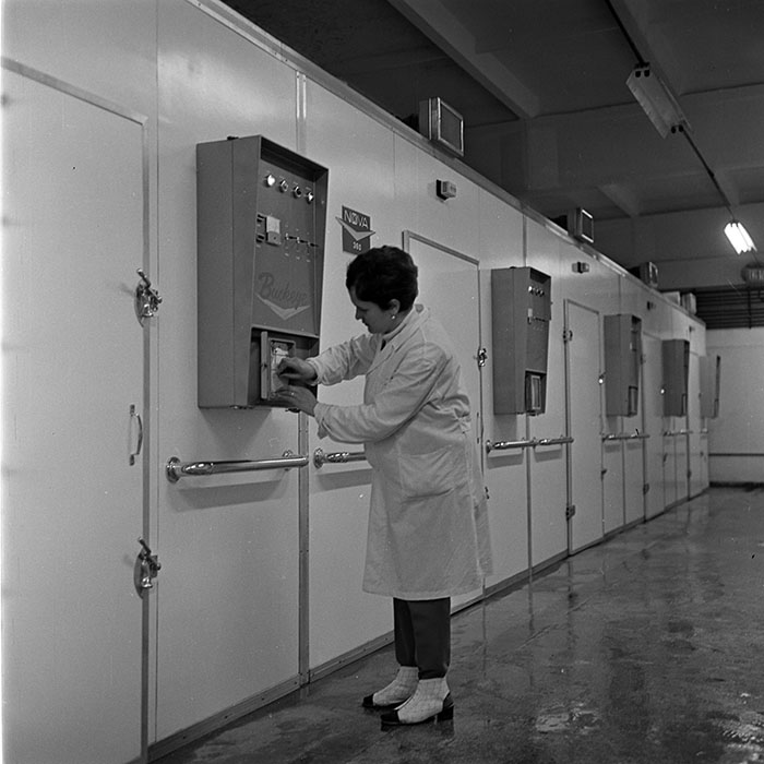 minerva_1973_c1_c6r5_015