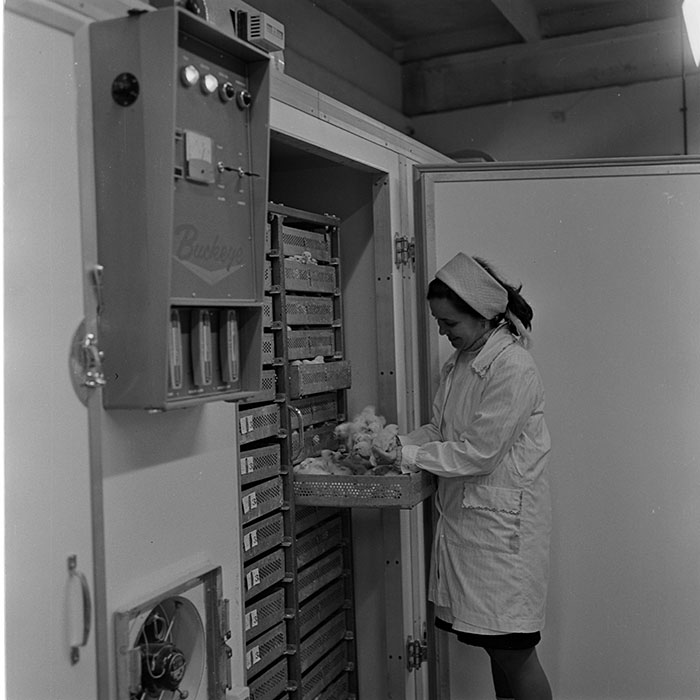 minerva_1973_c1_c6r5_017