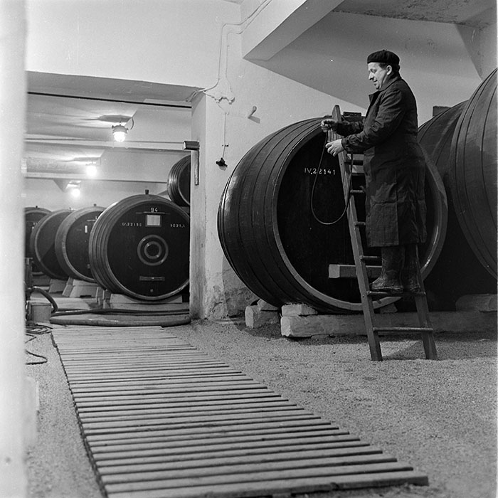 minerva_1973_c1_c7r1_000