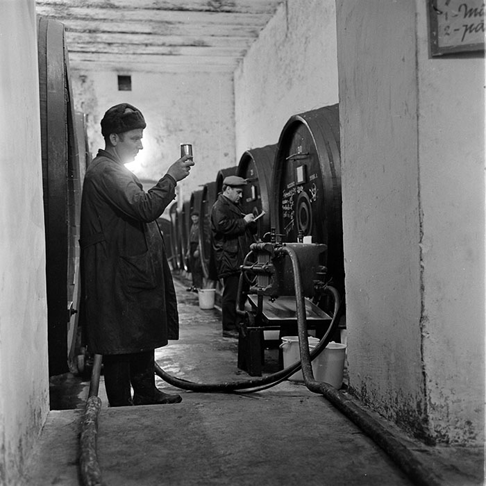 minerva_1973_c1_c7r1_007