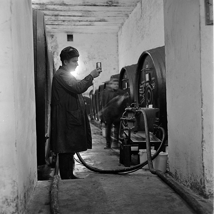 minerva_1973_c1_c7r1_008