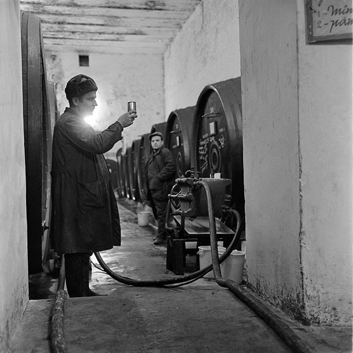 minerva_1973_c1_c7r1_009