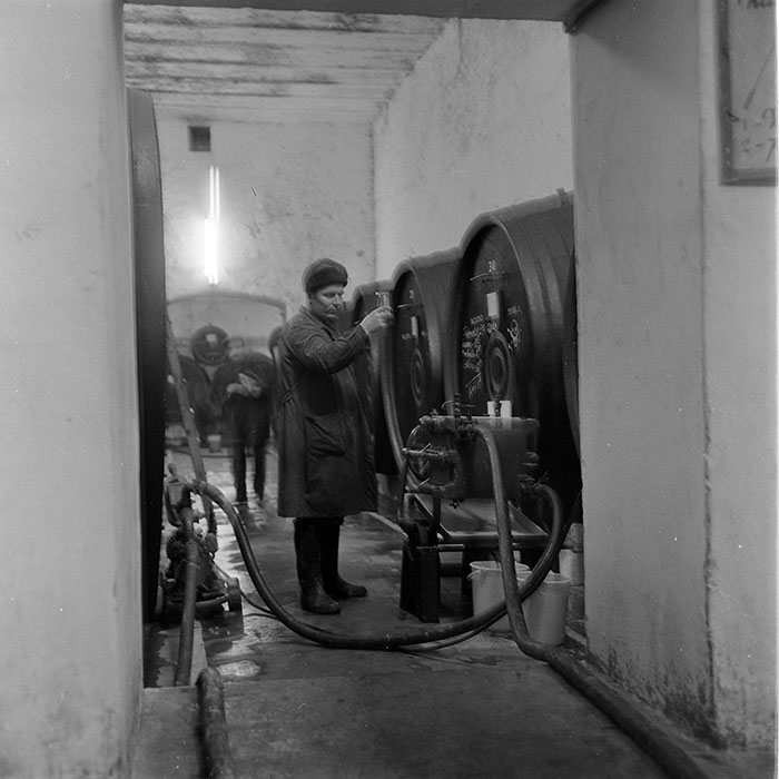 minerva_1973_c1_c7r1_010